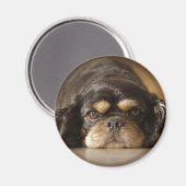 Aimant Cutie Cav ! (Recto/Verso)