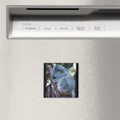 Aimant Cutie Pie Koala (In Situ (Lave-vaisselle))