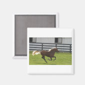 Aimant Cuttin' Loose (Recto/Verso)