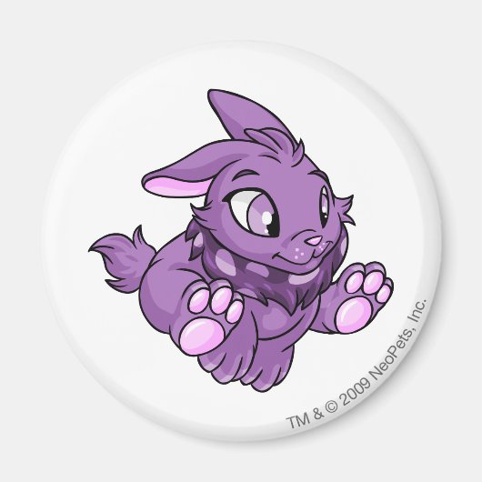 Aimant Cybunny pourpre (Devant)