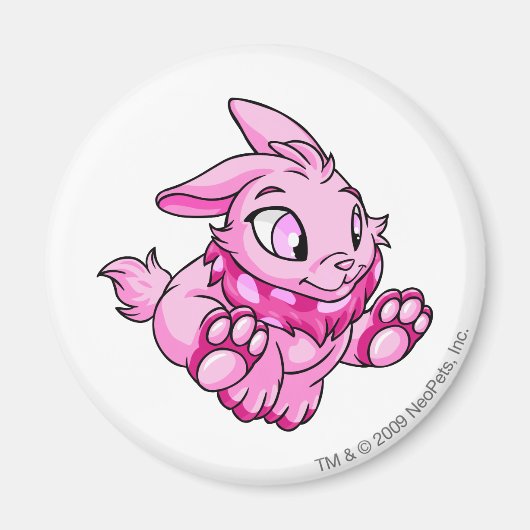 Aimant Cybunny rose (Devant)