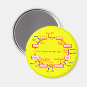 Aimant cycle acide tricarboxylique (Recto/Verso)