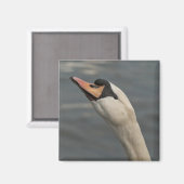 Aimant Cygne (Recto/Verso)
