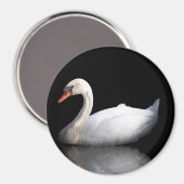 Aimant Cygne blanc sur noir (Recto/Verso)