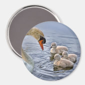 Aimant cygne et bébé (Recto/Verso)