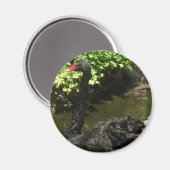 Aimant Cygne noir (Recto/Verso)