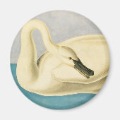 Aimant Cygne trompette par John James Audubon, Oiseau Vin (Devant)