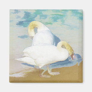 AIMANT CYGNES