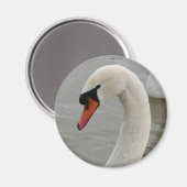 Aimant Cygnes dans le lac (Recto/Verso)