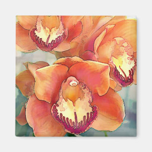 Aimant Cymbidiums colorés par agrume