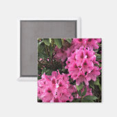 Aimant Cynthia Rhododendrons, Oregon (Recto/Verso)