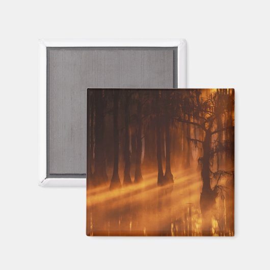 Aimant Cypress Trees | Parc d'état George Smith (Recto/Verso)