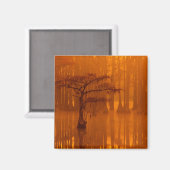 Aimant Cypress Trees | Parc d'état George Smith (Recto/Verso)