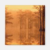 Aimant Cypress Trees Parc d'état George Smith (Devant)