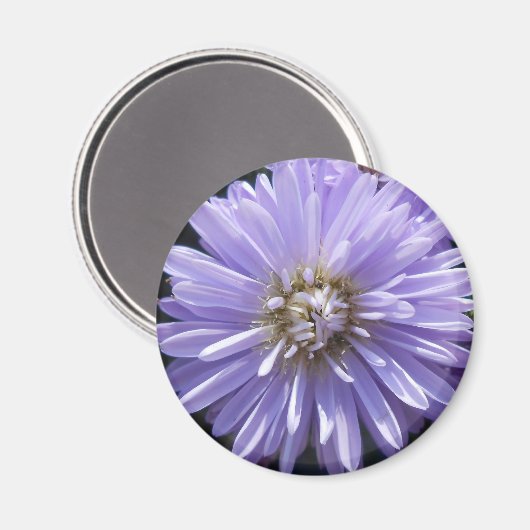 Aimant Cyrène (Recto/Verso)