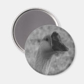 Aimant da goose (Recto/Verso)