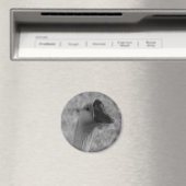 Aimant da goose (In Situ (Lave-vaisselle))