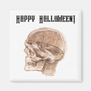 Aimant Da Vinci Halloween Science Anatomie Crâne Imprimer