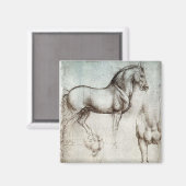 Aimant Da Vinci Horse Study Renaissance Sketch Art (Recto/Verso)