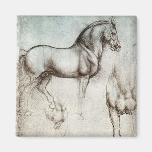Aimant Da Vinci Horse Study Renaissance Sketch Art