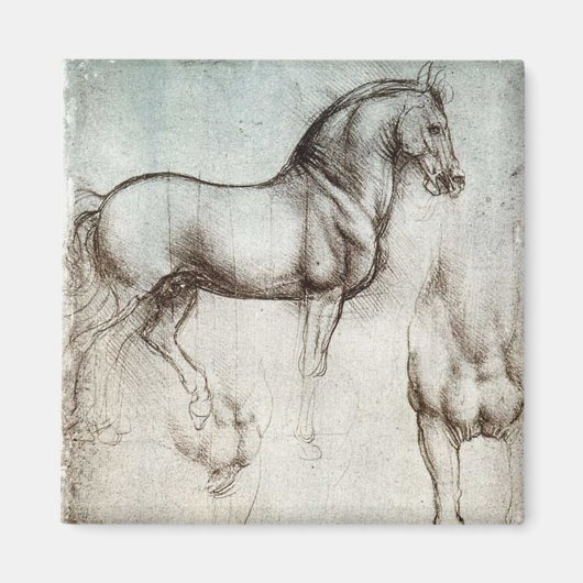 Aimant Da Vinci Horse Study Renaissance Sketch Art (Devant)
