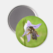 Aimant d'abeille poilu (Recto/Verso)