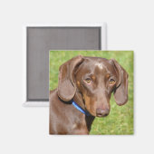 Aimant Dachshund (Recto/Verso)