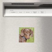 Aimant Dachshund (In Situ (Lave-vaisselle))