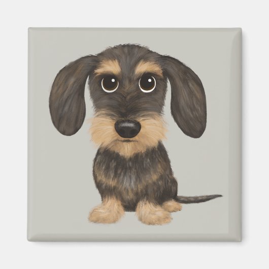 Aimant Dachshund À poils durs| Teckel de chien en caricat (Devant)