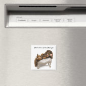 Aimant Dachshund à poils longs (In Situ (Lave-vaisselle))