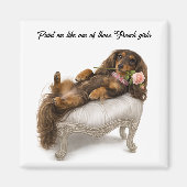 Aimant Dachshund à poils longs (Devant)