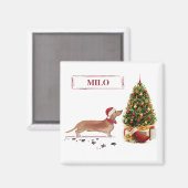 Aimant Dachshund brun drôle de Noël avec arbre (Recto/Verso)