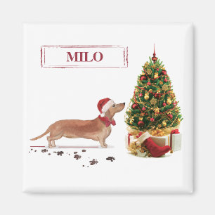 Aimant Dachshund brun drôle de Noël avec arbre