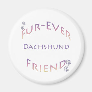 Aimant Dachshund Furever