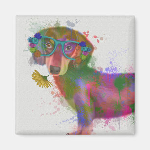 Aimant Dachshund & Lunettes Rainbow Splash