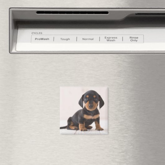 Aimant Dachshund Miniature assis (In Situ (Lave-vaisselle))