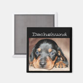 Aimant Dachshund Puppy (Recto/Verso)