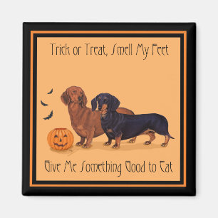Aimant Dachshunds Halloween