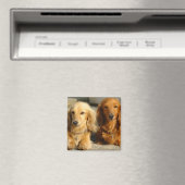 Aimant Dachshunds mignons (In Situ (Lave-vaisselle))