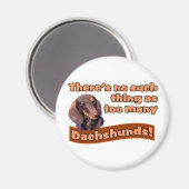 AIMANT DACHSHUNES (Recto/Verso)