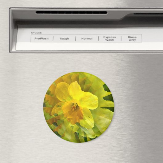 Aimant Daffodil....... (In Situ (Lave-vaisselle))