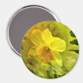 Aimant Daffodil....... (Recto/Verso)