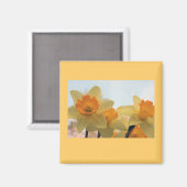 Aimant Daffodilux (Recto/Verso)