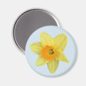 Aimant Daffodique de printemps jaune sur bleu pâle (Recto/Verso)