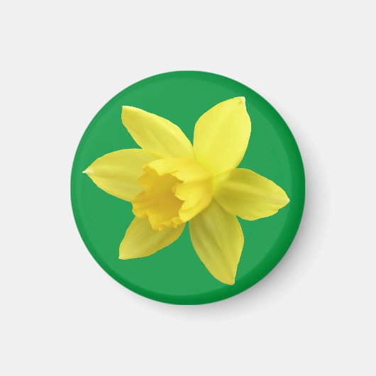 Aimant Daffodique jaune sur vert (Devant)