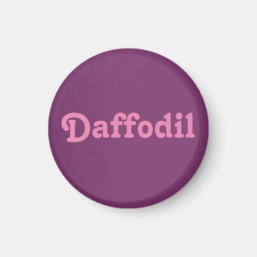 Aimant Daffodique magnétique (Devant)