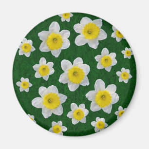 Aimant Daffodiques de printemps