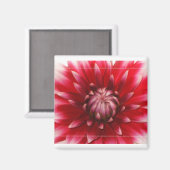 aimant dahlia (Recto/Verso)