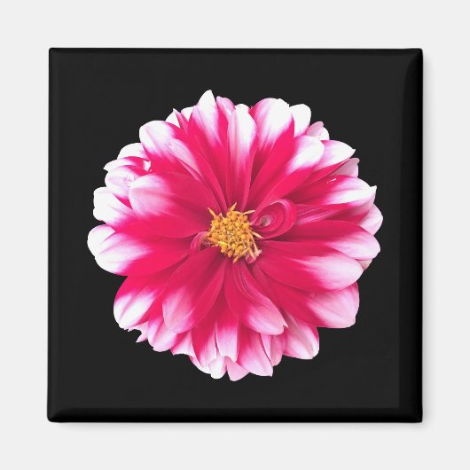 Aimant Dahlia (Devant)