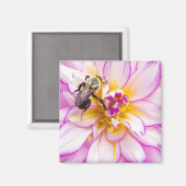 Aimant Dahlia blanc et rose avec bourdon (Recto/Verso)